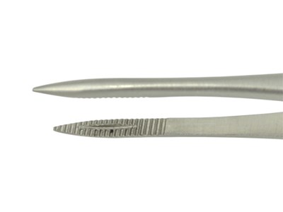 Moorfield forceps straight