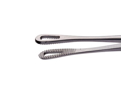 Rampleys sponge holding forceps