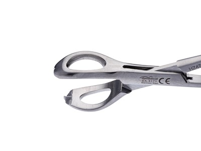 Lanes tissue forceps