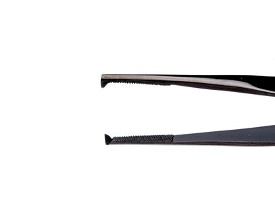 Lanes dissecting forceps