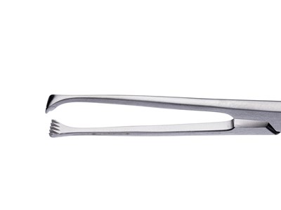 Allis tissue forceps
