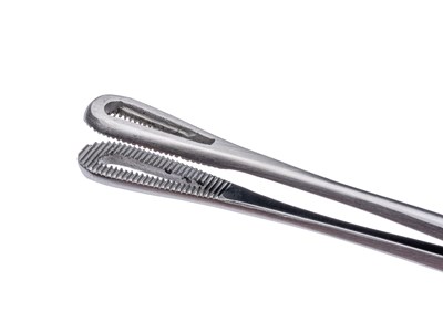 Rampleys sponge holder