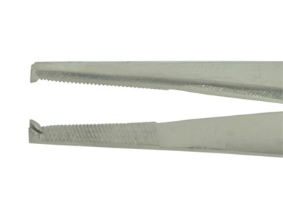 Lanes toothed dissecting forceps