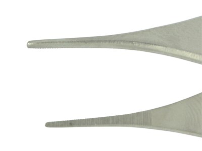 Adson dissecting forceps-fine