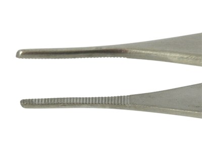 Adson dural forceps-fine