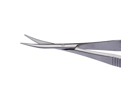 Westcott scissors curved-blunt tip