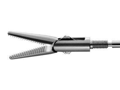 Fine Straight Serration Dissecting Forceps