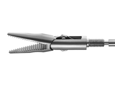 Delphin Grasping Forceps