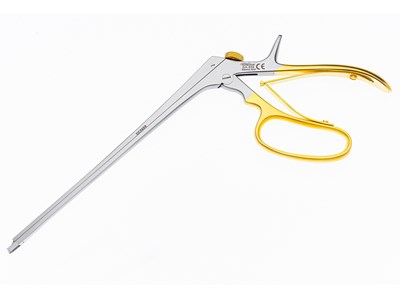 Baby tischler biopsy punch